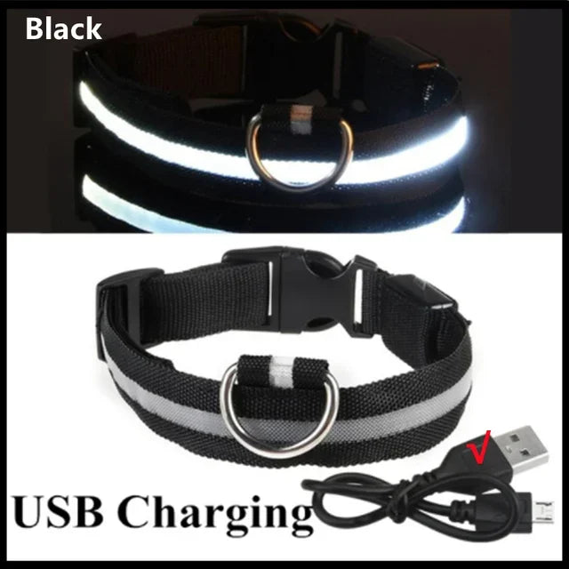 Glowing LED Adjustable Dog Collar