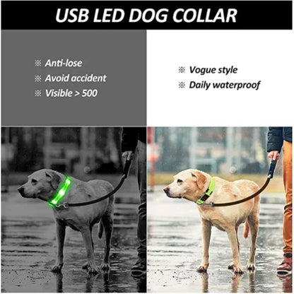 Glowing LED Adjustable Dog Collar