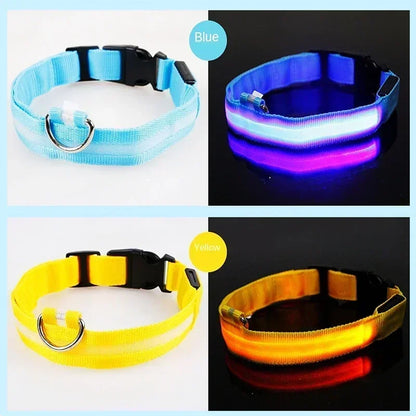 Glowing LED Adjustable Dog Collar