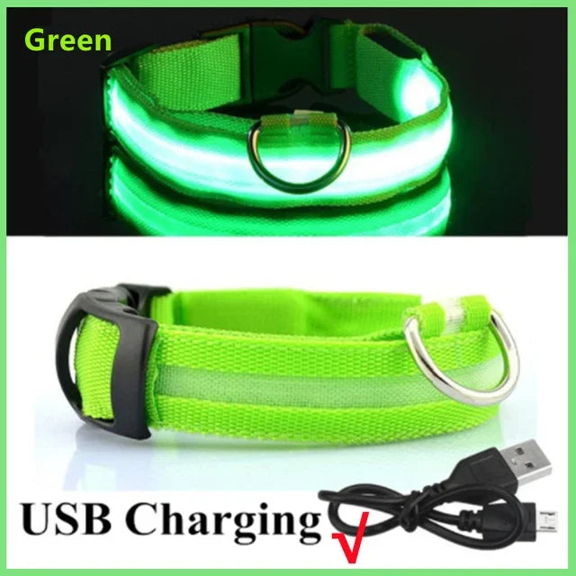 Glowing LED Adjustable Dog Collar
