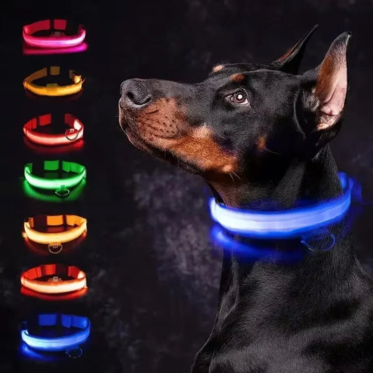 Glowing LED Adjustable Dog Collar