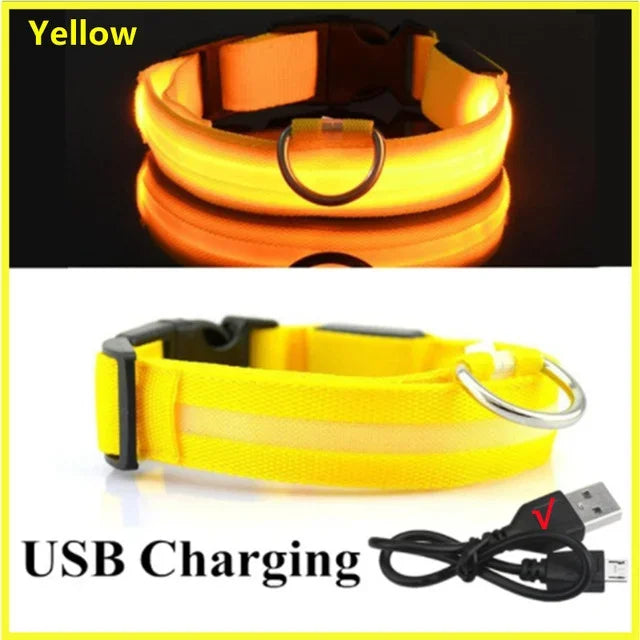 Glowing LED Adjustable Dog Collar