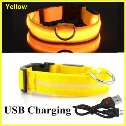 Glowing LED Adjustable Dog Collar