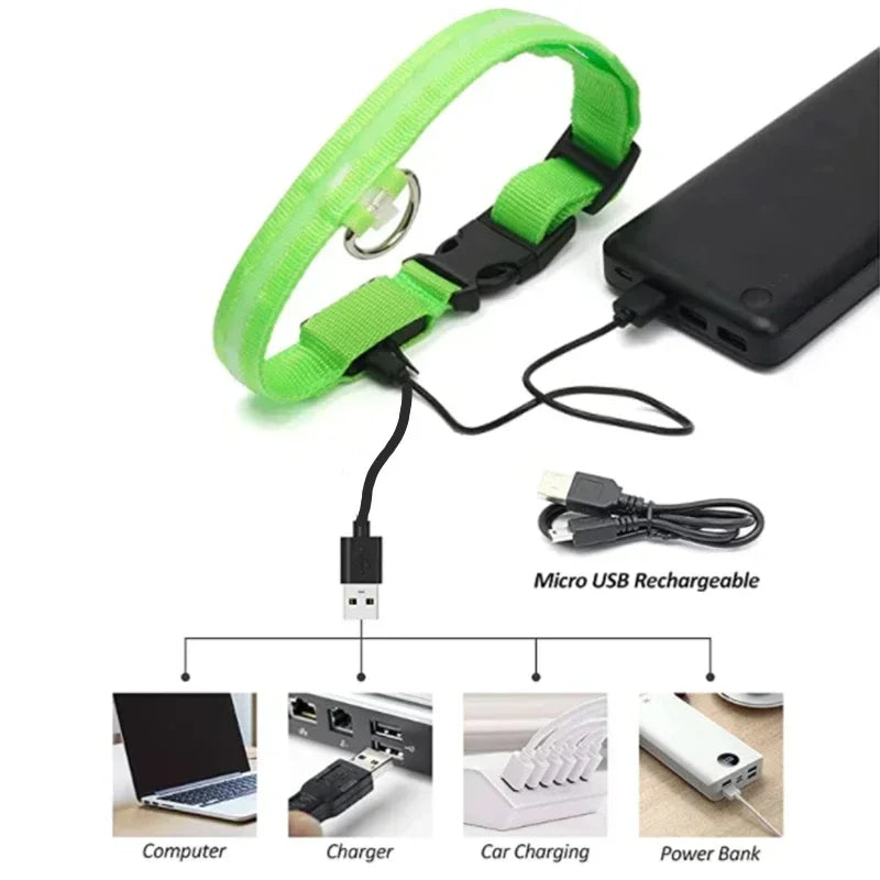 Glowing LED Adjustable Dog Collar