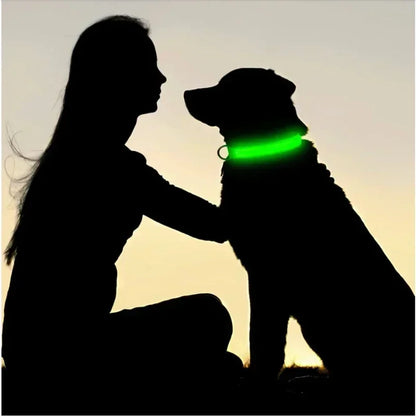 Glowing LED Adjustable Dog Collar