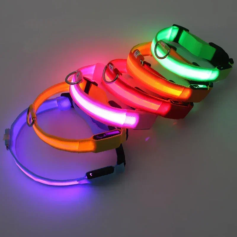 Glowing LED Adjustable Dog Collar