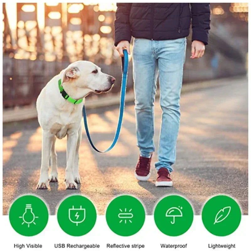 Glowing LED Adjustable Dog Collar
