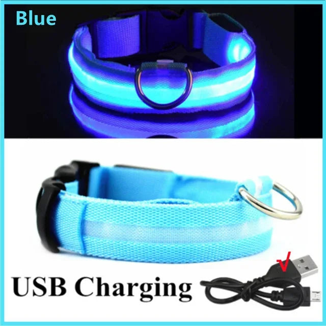 Glowing LED Adjustable Dog Collar