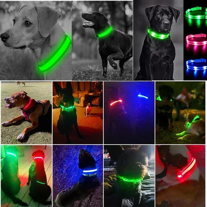 Glowing LED Adjustable Dog Collar