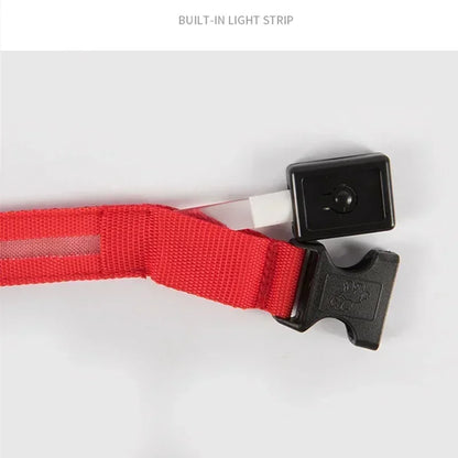 Glowing LED Adjustable Dog Collar