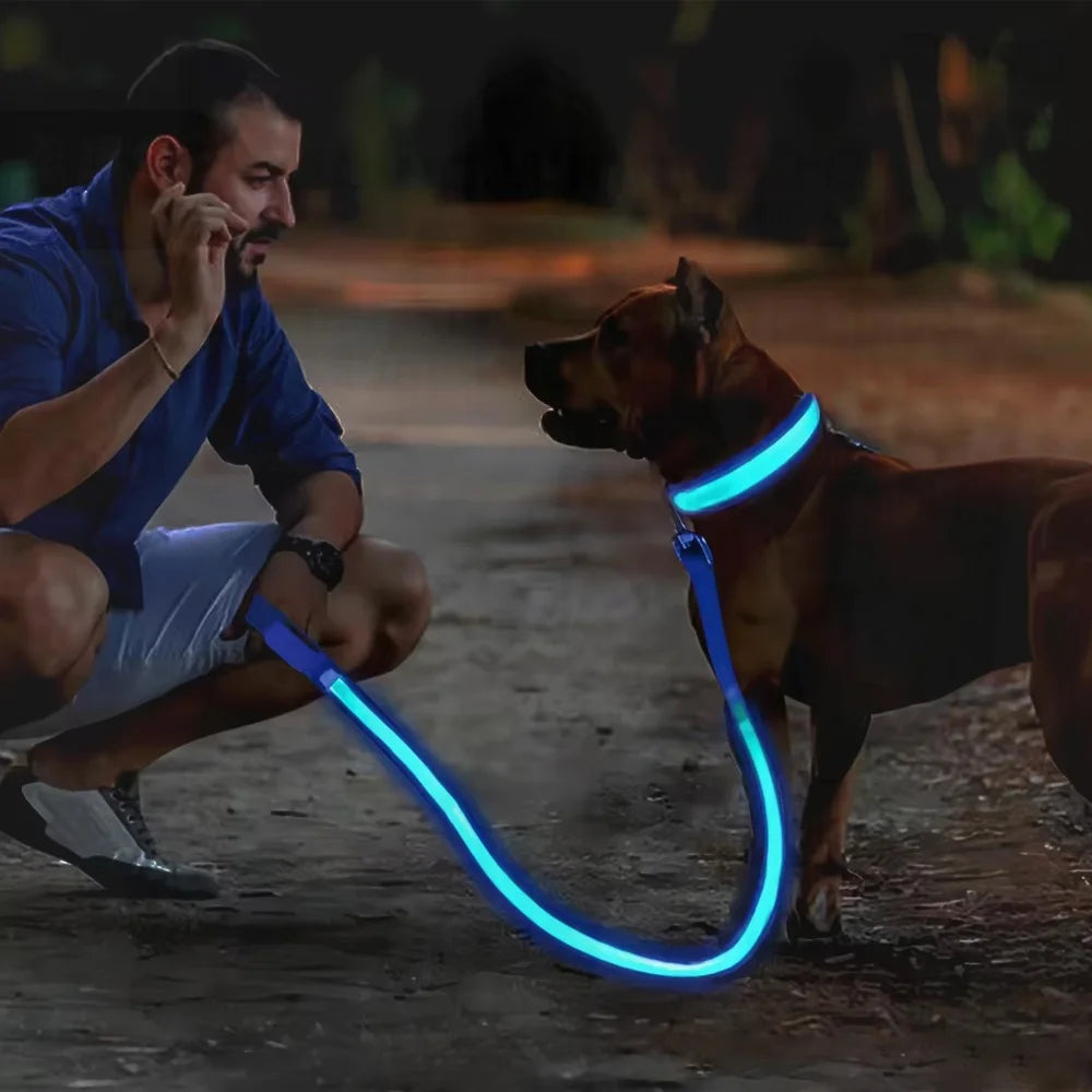 Glowing LED Adjustable Dog Collar