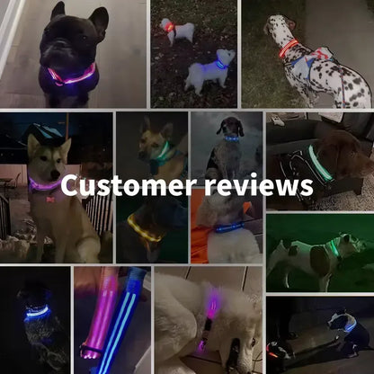 Glowing LED Adjustable Dog Collar