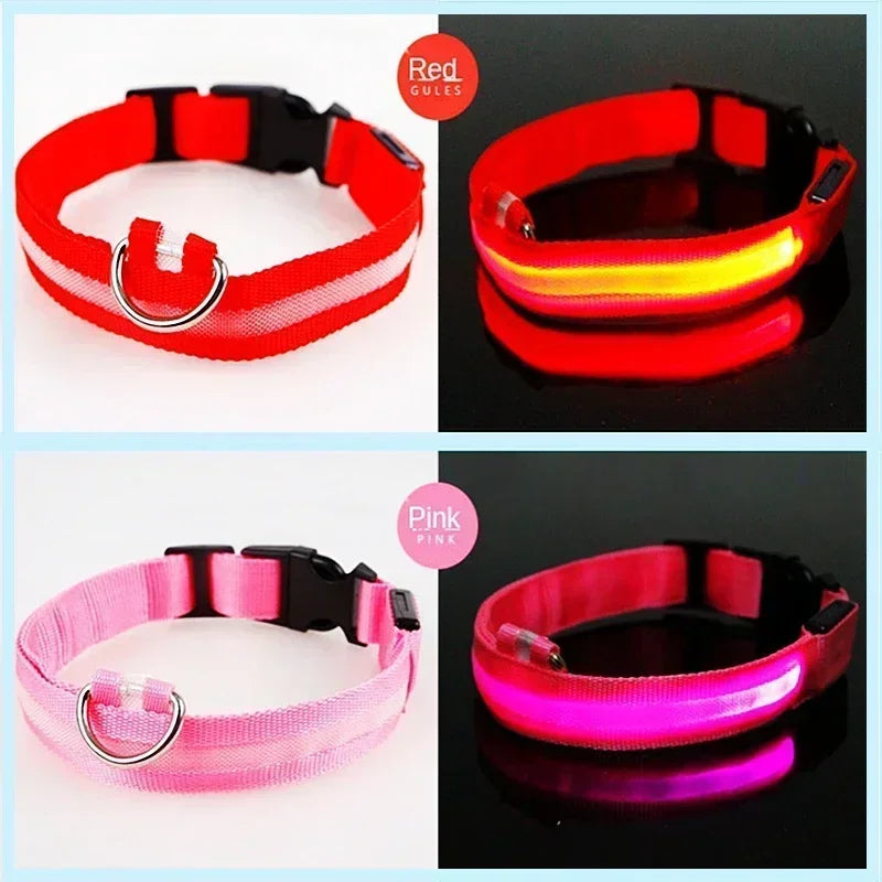 Glowing LED Adjustable Dog Collar