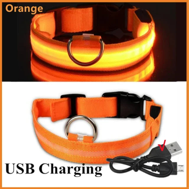 Glowing LED Adjustable Dog Collar
