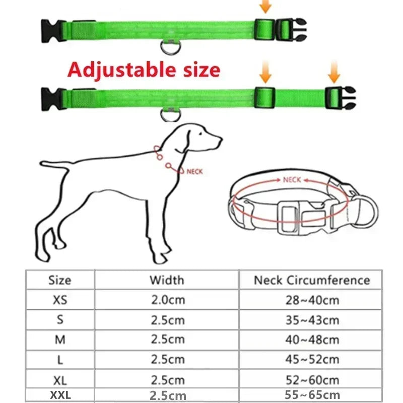 Glowing LED Adjustable Dog Collar