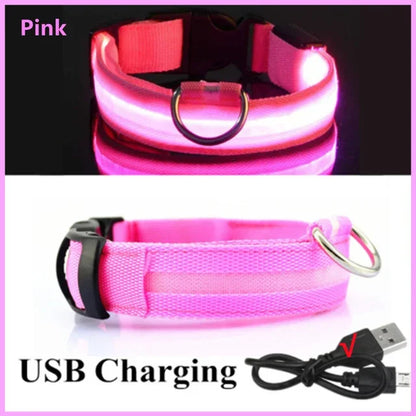Glowing LED Adjustable Dog Collar