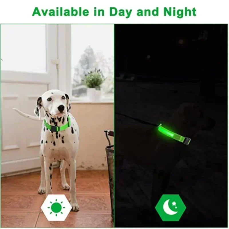 Glowing LED Adjustable Dog Collar