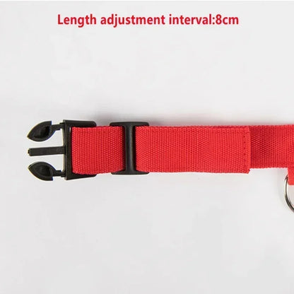 Glowing LED Adjustable Dog Collar